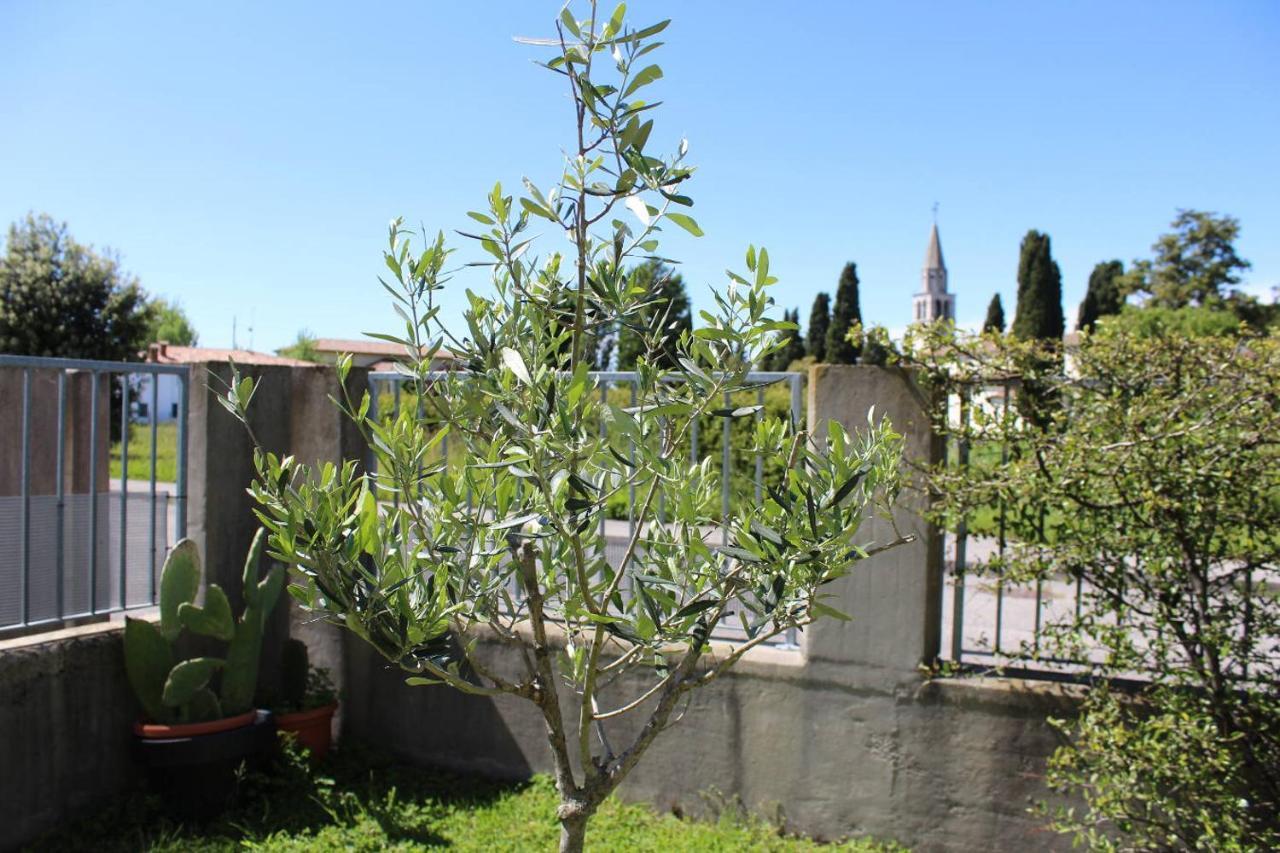 Villa Madi San Lorenzo  Exterior foto